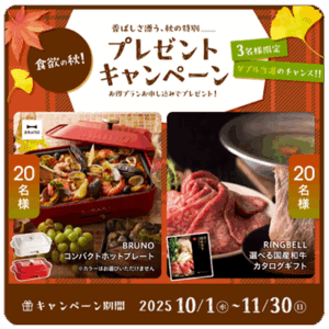 公式サイト