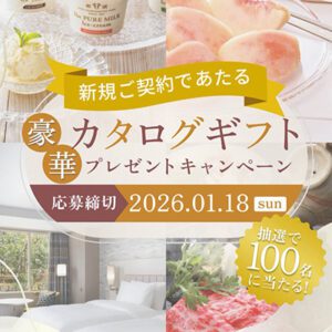 公式サイト