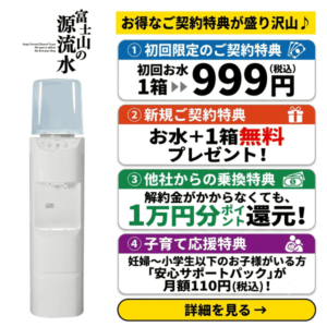 公式サイト