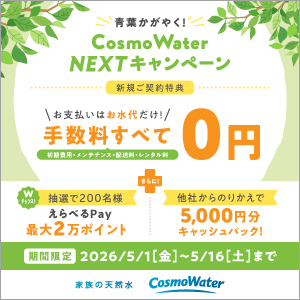 公式サイト