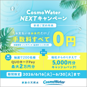 公式サイト