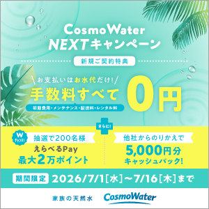 公式サイト